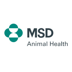 Msd animal health